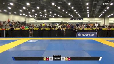 Wanki Chae vs James Truong Long An 2025 World Master IBJJF Jiu-Jitsu Championship