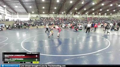 138 lbs Champ. Round 2 - Braydon Livingston, Uintah vs Dallas Mortensen, Summit Academy