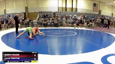 110 lbs Quarterfinal - Murphy Rousse, MI vs Lucas Forsythe, IL