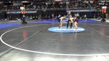 165 lbs Cons. Round 4 - Jake Deguire, Springfield vs Brian Petry, Cornell College