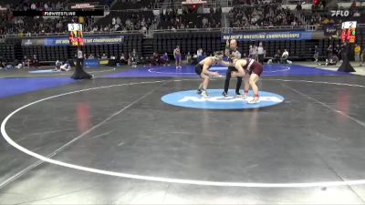 165 lbs Cons. Round 4 - Jake Deguire, Springfield vs Brian Petry, Cornell College