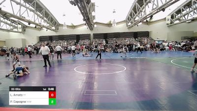 65-B lbs Quarterfinal - Luca Amato, Team Tugman vs Peter Capogna, VHW