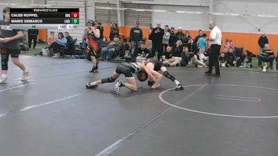 96 lbs Round 4 (10 Team) - Mario Demarco, Lake WC vs Caleb Roppel, Brecksville