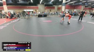 215 lbs Cons. Round 2 - Mario Palomar, Texas vs Nikolai Krikstan, Finesse Wrestling Club