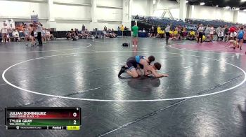 132 lbs Round 3 (10 Team) - Julian Dominguez, Eagle Empire Black vs Tyler Gray, Wellington