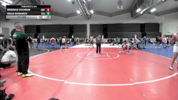 141 lbs Quarterfinal - Brennan Cochran, Centurion MS vs Kelle Domanick, Clearview MS