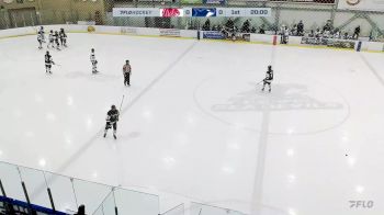 Replay: Home - 2023 Yale U17 vs PAC Coast Blue U17 | Nov 19 @ 10 AM