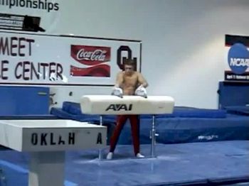 Steve Legendre Pommel Horse Routine