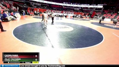 2A 190 lbs Quarterfinal - Cayden Parks, Crystal Lake (Central) vs Foley Calcagno, Elmhurst (IC Catholic)