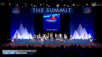 Tribe Cheer - Nighthawks [2026 L5 Senior Coed - Medium Semis] 2026 The Summit