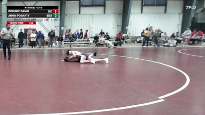 125 lbs Round Of 32 - Dominic Gangi, New England College vs Aiden Fogarty, Western New England