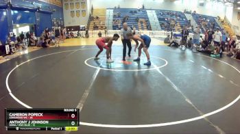 150 lbs Round 5 (8 Team) - Cameron Popeck, Longwood WC vs Anthony J Johnson, SOWA / HWC BLUE
