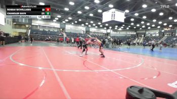 133 lbs Champ. Round 1 - Roman McWilliams, Montevallo vs Chandler Bays, Brewton-Parker (GA)