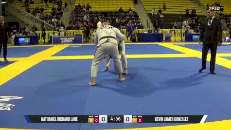 Kevin James Gonzalez vs Nathaniel Richard Lane 2025 Master International IBJJF Jiu-Jitsu North American Championship