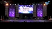 Dance Dynamics - Youth Elite Small Pom [2025 Youth - Pom - Small Day 1] 2025 JAMfest Dance Super Nationals