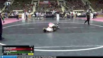 126 lbs Champ. Round 2 - Ethan Sharkey, Gulf Shores vs Caleb Mooney, Shelby County