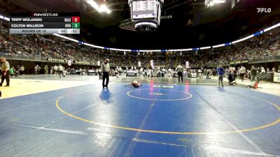 82 lbs Round Of 16 - Tripp Wolanski, Bald Eagle Area vs Colton Millison, Springfield