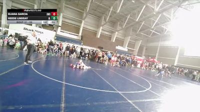 55 lbs Quarterfinal - Reese Lindsay, Altamont Longhorns vs Eliana Garcia, Stallions Wrestling Club