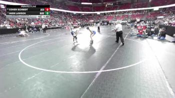 D3-215 lbs Champ. Round 1 - Jabin Lawson, Markesan vs Cohen Schmidt, Johnson Creek