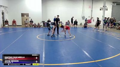 87 lbs Round 3 (8 Team) - Santino Pascarella, New York Gold vs Zayne Benson, Colorado