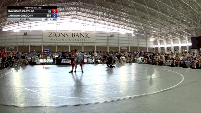 132 lbs Raymond Castillo, California vs Jamison Gregory, Michigan Blue