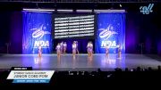 Synergy Dance Academy - Junior Coed Pom [2025 Junior - Pom - Small Day 1] 2025 NDA All-Star National Championship