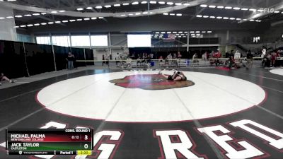 141 lbs Cons. Round 1 - Michael Palma, New England College vs Jack Taylor, Castleton