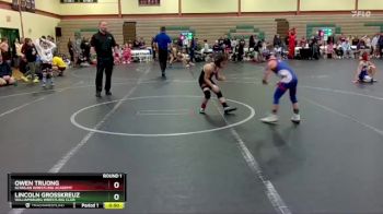 60 lbs Round 1 - Owen Truong, Scanlan Wrestling Academy vs Lincoln Grosskreuz, Williamsburg Wrestling Club