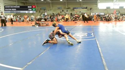 100 lbs Semifinal - Adam Bachmann, Mat Assassins Black - EL vs Colton Reed, POWA - EL
