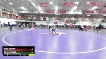 141 lbs Champ. Round 2 - Kael Brisker, Southeastern vs Ethan Woods, University Of Saint Mary (KS)