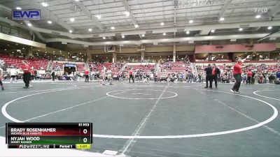 110 lbs Quarterfinal - Nyjah Wood, Honey Badger vs Brady Rosenhamer, Wichita Blue Knights