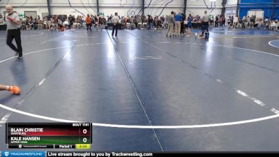 Elite 157 lbs Cons. Round 3 - Kale Hansen, Upper Iowa vs Blain Christie, Wartburg