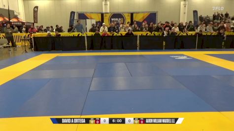 Quentin-Mel C Arcibal vs Jasson Lorenzo Cano 2024 World IBJJF Jiu-Jitsu No-Gi Championship