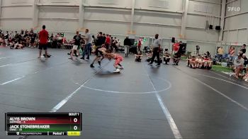 100 lbs Finals (2 Team) - Jack Stonebreaker, CRWC vs Alyis Brown, Hammers