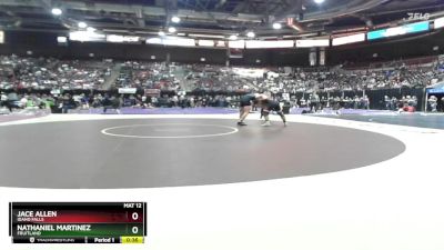 165 lbs Cons. Round 4 - Jace Allen, Idaho Falls vs Nathaniel Martinez, Fruitland