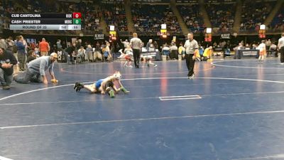 45 lbs Round Of 32 - Cub Cantolina, Kiski Area vs Cash Priester, Mercer