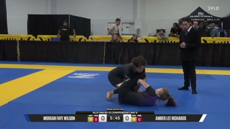 Amber Lee Richards vs Morgan Faye Wilson 2026 Pan IBJJF Jiu-Jitsu No-Gi Championship