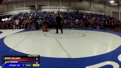 138 lbs Cons. Round 3 - Vance Williams, IL vs Jace Morgan, MI