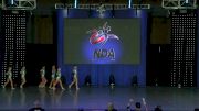 Dancin Bluebonnets [2019 Mini Small Jazz Day 1] NDA All-Star National Championship