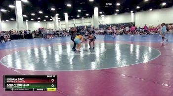 138 lbs Round 3 (16 Team) - Kaden Wheeler, Florida Pitbulls vs Joshua Briz, Wellington - DEV