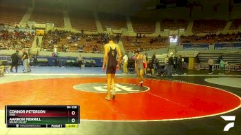 D4-120 lbs Quarterfinal - Aarron Merrill, Round Valley vs Connor Peterson, Page