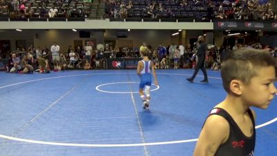 49 lbs Quarters - Theseus Yang-Elson, Summit Wrestling Academy vs Connor Check, Lake Zurich Cubs Wrestling Club