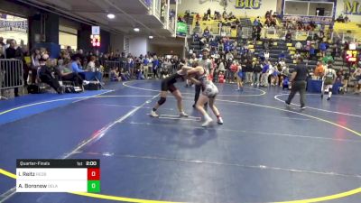 112 lbs Quarterfinal - Iris Reitz, Redbank Valley vs Andrea Boronow, Delaware Valley