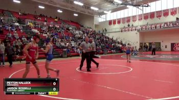 113 lbs Quarterfinal - Jaxson Rosselli, Olentangy Liberty vs Peyton Halleck, Wadsworth