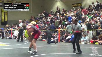 142 lbs Champ. Round 2 - Ethan Serrano, Thomas Jefferson vs Bradley Caygill, Daniel Cormier WC