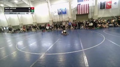 46 lbs 5th Place Match - Luca Abe, Westlake vs Knox Arthur, Sanderson Wrestling Academy