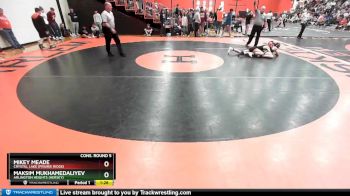 126 lbs Cons. Round 5 - Mikey Meade, Crystal Lake (PRAIRIE RIDGE) vs Maksim Mukhamedaliyev, Arlington Heights (HERSEY)