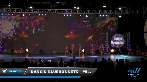 Dancin Bluebonnets - Mini Elite Jazz [2021 Mini - Jazz - Small Day 1] 2021 Encore Houston Grand Nationals DI/DII