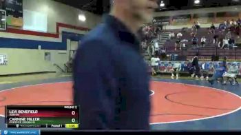113 lbs Round 2 - Carmine Miller, Mortimer Jordan HS vs Levi Benefield, Auburn