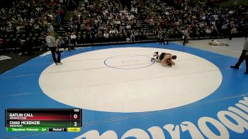 150 lbs Quarterfinal - Gatlin Call, Spanish Fork vs Chad Mckenzie, Viewmont